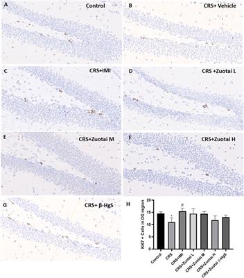 Tibetan mineral-herbal medicine Zuotai alleviates the depressive-like behaviors in chronic restraint-stressed mice while regulating stress hormone, inflammation and monoamine